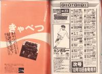 ヤングサンデー　平成3年23号　-平成3年12月13日号-