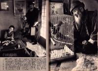 週刊新潮　昭和42年2月11日号　表紙画・谷内六郎「つらゝの工場」