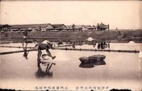 （絵葉書）台湾製塩株式会社　北門塩田採塩状況　1枚（台湾）