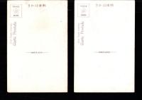 （絵葉書）樺太　2枚