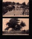 （絵葉書）福井藤島神社　2枚（福井県）