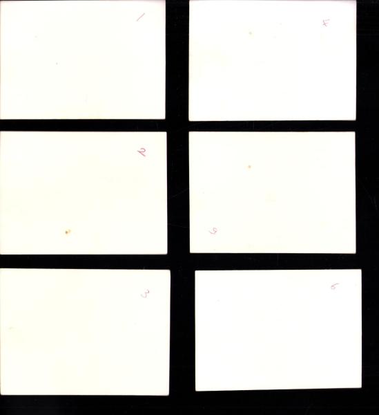 写真）大東亜戦争写真集（参） 袋付全6枚揃 / 伊東古本店 / 古本、中古
