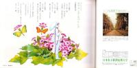 フェアレディ　119号　-昭和51年3月号-
