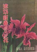 新婦人　昭和25年1月号　表紙画・荒谷直之介「初日出の表情」　別冊付録1冊付(池坊・新春のいけ花)