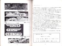 遠州森の祭り　屋台物語（静岡県周智郡森町）