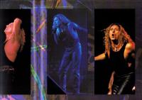 (音楽パンフレット・英文）WHITESNAKE TOUR 1994(ホワイトスネイク ツアー1994)