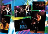 (音楽パンフレット・英文）WHITESNAKE TOUR 1994(ホワイトスネイク ツアー1994)
