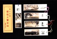 （しおり）国立公園　桜花と富士山　-写真しをり-　袋付5枚