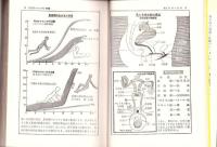 性生活解剖図譜