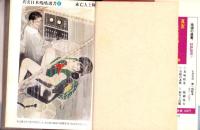 未亡人と鞭　-真実日本残酷選書6-