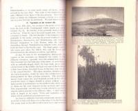 （英文）THE LAKE DISTRICT AROUND MT.FUJI　-GUIDE-BOOK EXCURSION C-4-（富士五湖エリア　-ガイドブック小旅行C-4-）