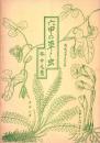 六甲の草と虫