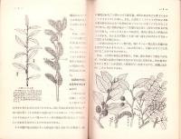 六甲の草と虫
