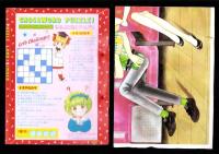 （付録）池野恋のなるみちゃんパズルランドバインダー/わくわくワイドピンナップ　2点一括　-りぼん平成1年6月号付録-