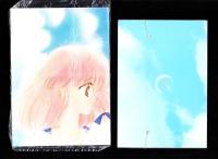 （付録）あらいきょうこのK.clubケース/佐柄きょうこのTONMI！ジェネレーションBIGポスター/聖鈴子のタイムリミット！新菜サマーバッグ他　4点一括　-ちゃお平成1年8月号付録-
