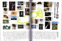 ラパン　2号　-平成8年1月-