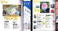 ラパン　平成11年7月号