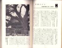 植物風土記　-近畿の巨樹 老木-