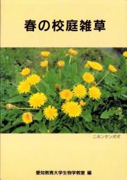 春の校庭雑草　-改訂版-（愛知県）