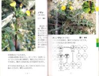 春の校庭雑草　-改訂版-（愛知県）