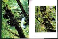 奄美の野生蘭　-山下弘写真集-（鹿児島県）