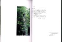 奄美の野生蘭　-山下弘写真集-（鹿児島県）