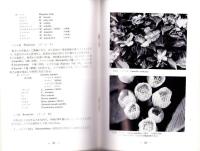維管束植物　-シダ植物から種子植物まで-（国立科学博物館）