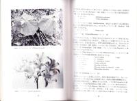維管束植物　-シダ植物から種子植物まで-（国立科学博物館）