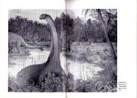 恐竜アロザウルス（国立科学博物館）