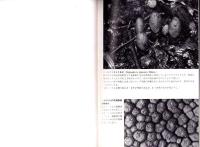 ヤッコソウ・ツチトリモチの友　-昭和55年夏季号-