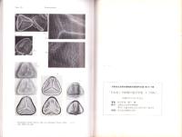 日本産シダ植物の胞子形態Ⅰ（図版）