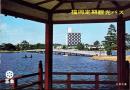 （旅行案内）福岡定期観光バス（福岡県）