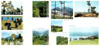 （旅行案内）宮崎（宮崎県）