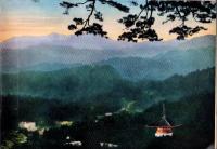 苅萱と石童丸絵伝（和歌山県）