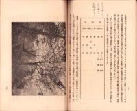 昔の桜と今の桜