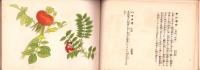 野生食用植物図譜