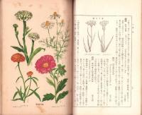 自然分類ニ拠レル日本之植物　不揃5冊（全6冊内6巻欠）