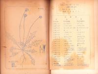 三重県の帰化植物　-1952年10月-