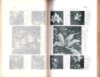 秋田県の植物　-5部中の第2部-
