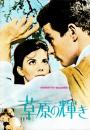 （映画パンフレット）草原の輝き