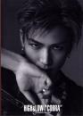 （写真集）岩田剛典　HiGH&LOW  “COBRA”