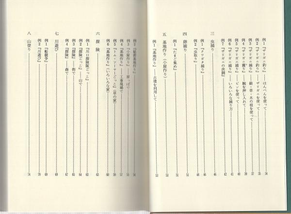 続・大学生からの伝言 私はこうして遊んだ(自由遊び編)(大橋和華