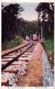 （絵葉書）筑波山名勝 -ケーブル電車交叉点ノ景 1枚（茨城県）