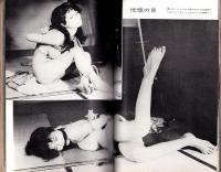 画報風俗奇譚　17集　昭和36年10月号　-目で見る風俗絵巻-