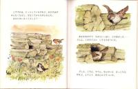 （絵本）すからおちた こすずめ　-児童図書館・絵本の部屋-