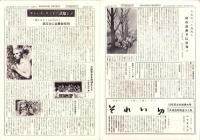 （新聞）ひまわり新聞　46号　-昭和33年4月15日-