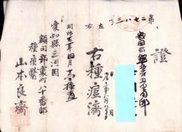 （種痘済證）額田郡鍛埜村　-明治13年-