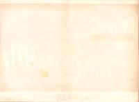 (ポスター)犬山菊花まつり　-剣道大野試合-（愛知県）