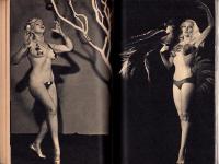 グラマーグラフ　-漫画画報昭和34年3月臨時増刊号-