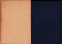 豊田大塚古墳発掘調査報告書（愛知県）